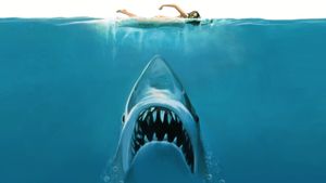 Jaws's poster