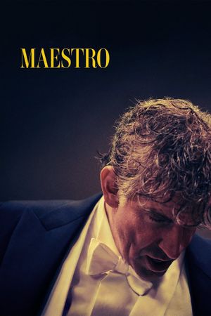 Maestro's poster