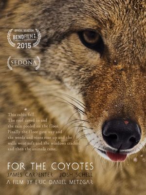 For the Coyotes's poster