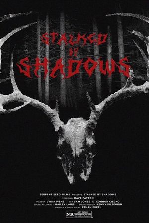 Stalked by Shadows's poster