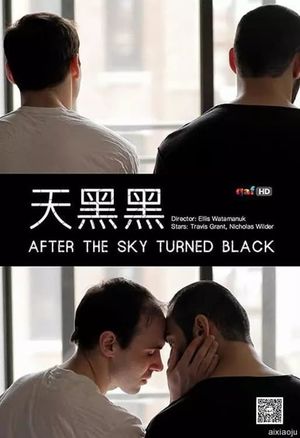After the Sky Turned Black's poster