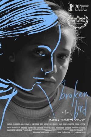 Broken Bird's poster