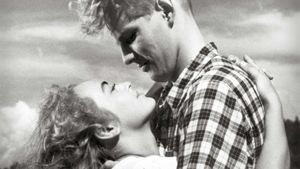 The Milkmaid's poster