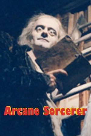 Arcane Sorcerer's poster