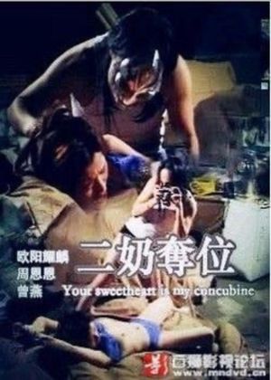 二奶奪位's poster