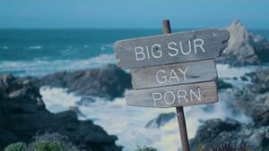 Big Sur Gay Porn's poster