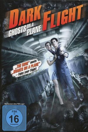 407 Dark Flight 3D's poster