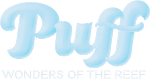 Puff: Wonders of the Reef's poster