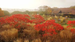 Five Seasons: The Gardens of Piet Oudolf's poster