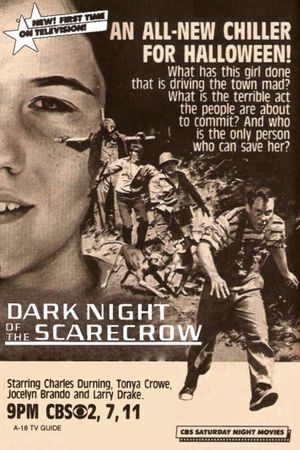 Dark Night of the Scarecrow's poster