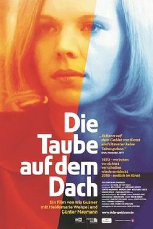 The Dove on the Roof's poster