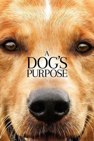 A Dog's Purpose's poster