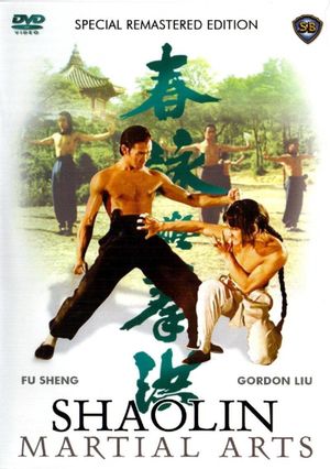 Shaolin Martial Arts's poster