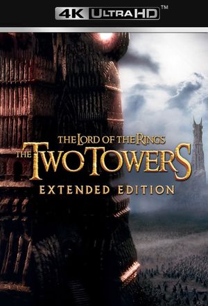 The Lord of the Rings: The Two Towers's poster