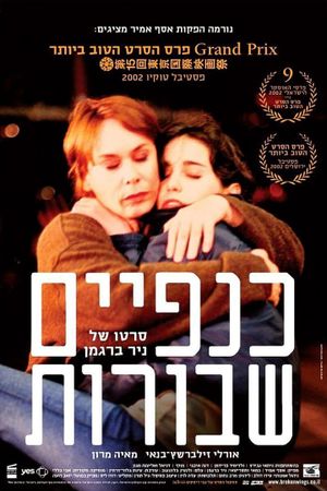 Broken Wings's poster