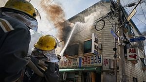 The Firefighters's poster