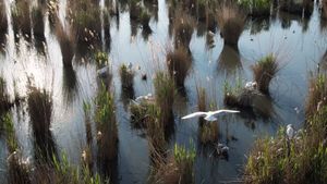 Land of Waters: Created by Man, Overtaken by Nature's poster