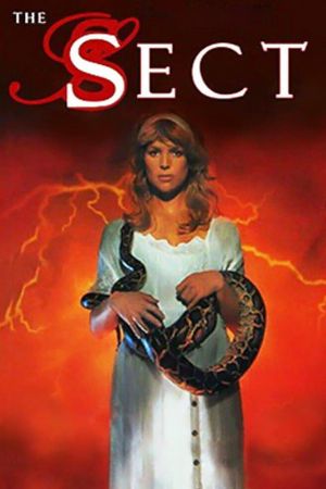 The Sect's poster