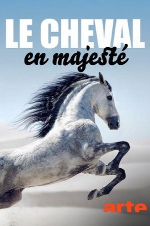 Le cheval en majesté's poster