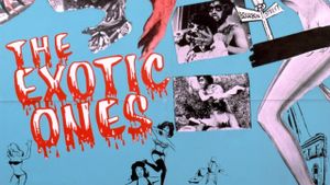 The Exotic Ones's poster