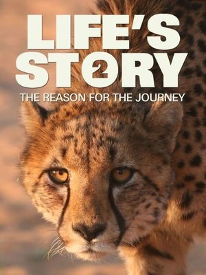 Life's Story 2: The Reason For The Journey's poster