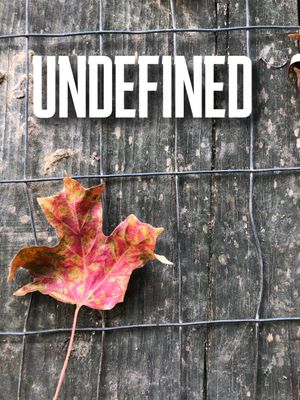 Undefined's poster