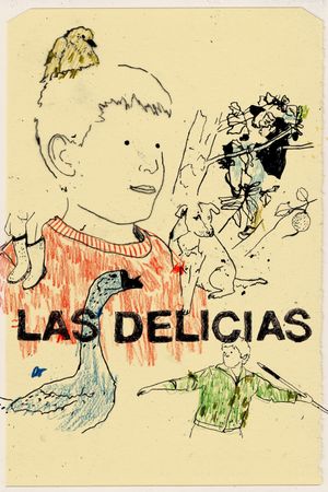 The Delights's poster