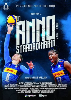 Un anno straordinario's poster