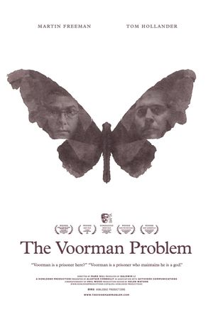 The Voorman Problem's poster
