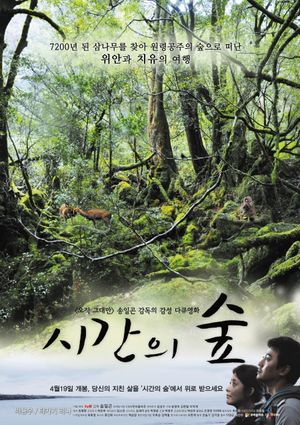 Forest of Time's poster