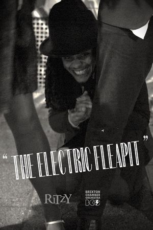 The Electric Fleapit's poster image