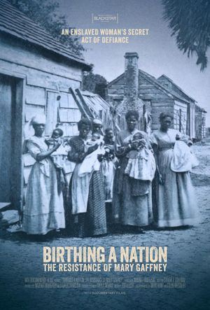 Birthing a Nation: The Resistance of Mary Gaffney's poster