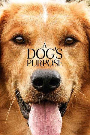 A Dog's Purpose's poster image