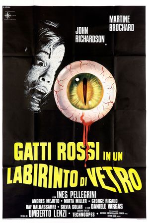 Eyeball's poster