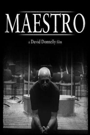 Maestro's poster