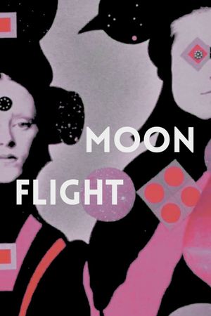 Moon Flight's poster