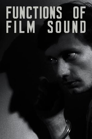 Functions of Film Sound's poster