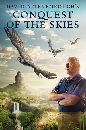 Conquest of The Skies 3D's poster