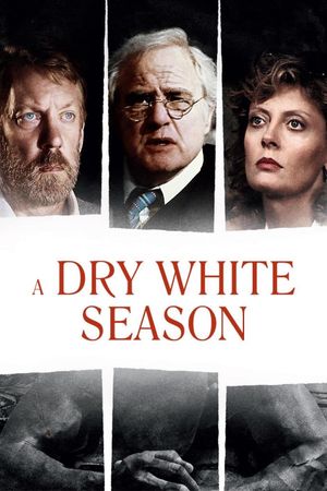A Dry White Season's poster