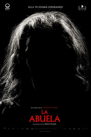 The Grandmother's poster