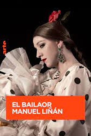 Manuel Liñán - The New Face of Flamenco's poster