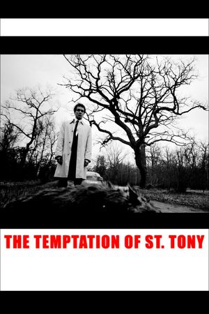 The Temptation of St. Tony's poster