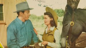 Raiders of the Range's poster