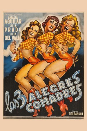 Las tres alegres comadres's poster