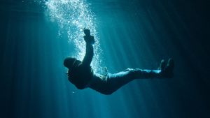 The Flood's poster