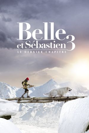 Belle and Sebastian, Friends for Life's poster