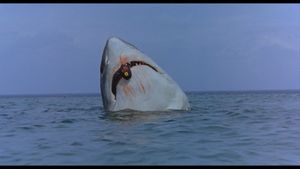 The Last Shark's poster