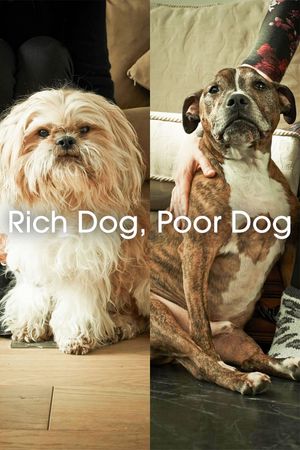 Rich Dog, Poor Dog's poster