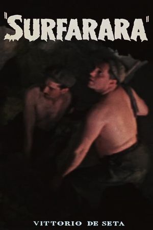 Surfarara's poster