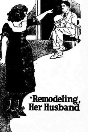Remodeling Her Husband's poster